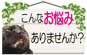 こんなお悩みありませんか？の猫と木の看板