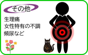 お腹の深部が温まる人と猫