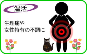 お腹が深部からポカポカする人と猫と花
