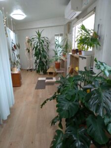 植物が多い院内