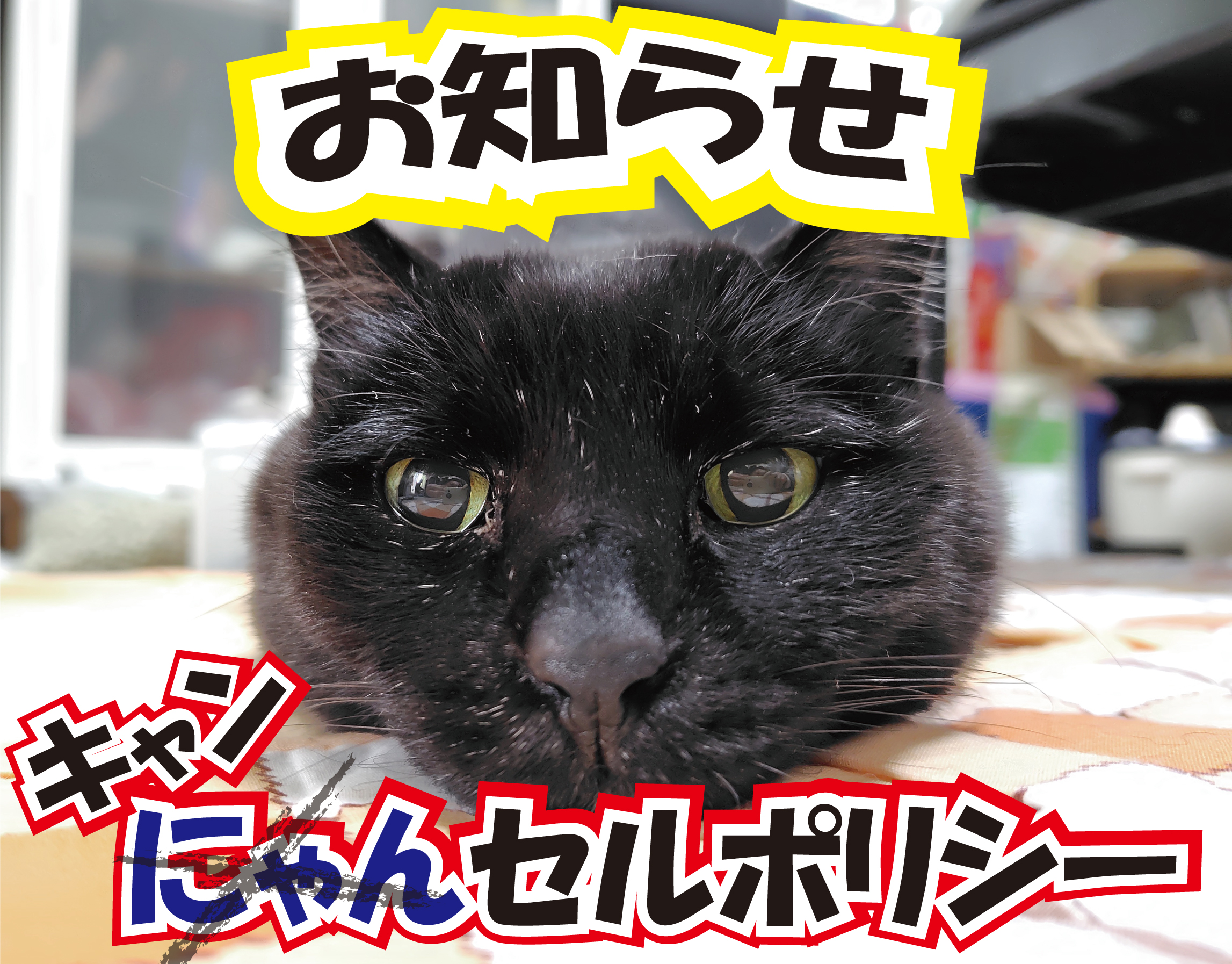 健康の森整体院 キャンセルポリシーのお知らせ