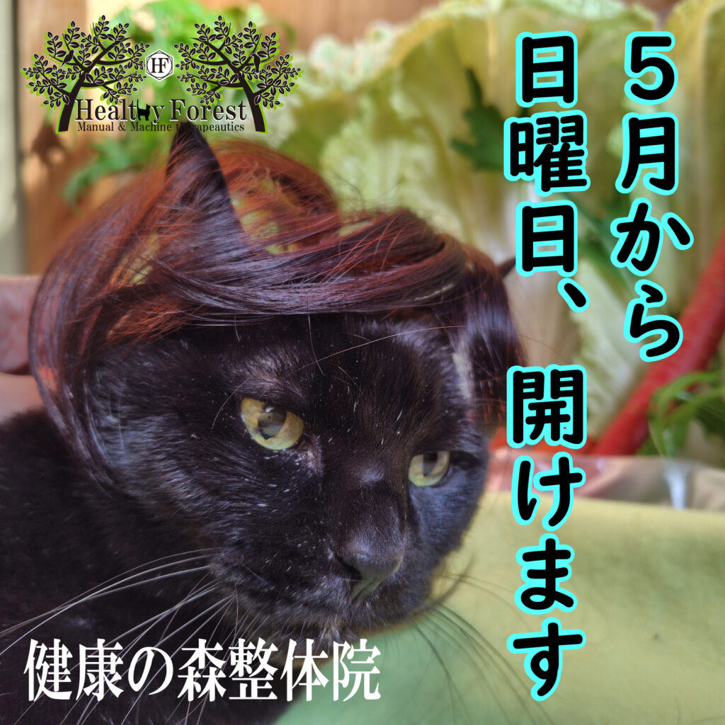 5月から、日曜日、開けます。健康の森整体院 ラジオ波整体